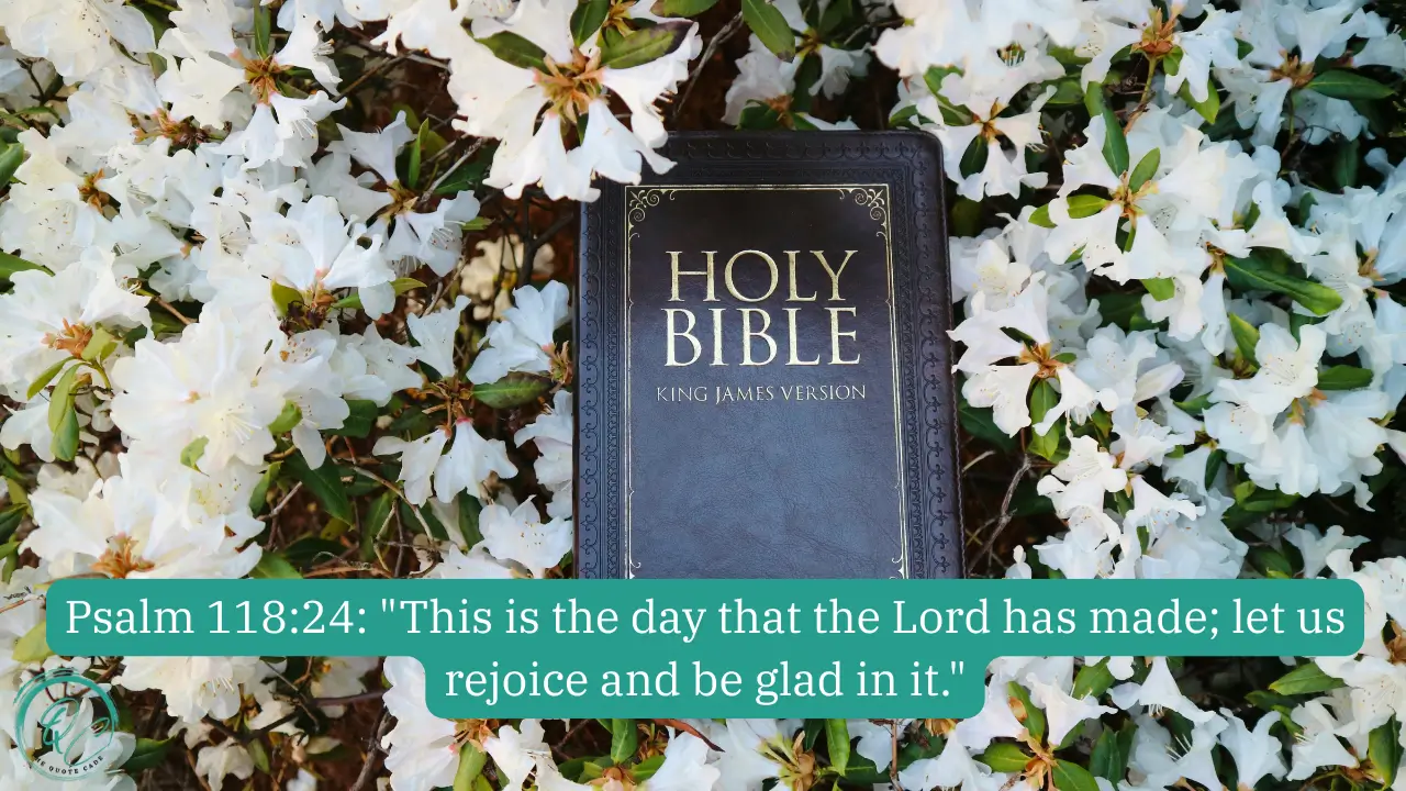 Quotes from the Bible