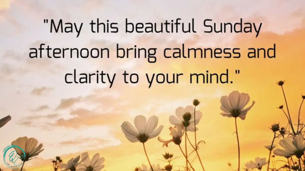 Sunday Afternoon Quotes to Start a Good Day