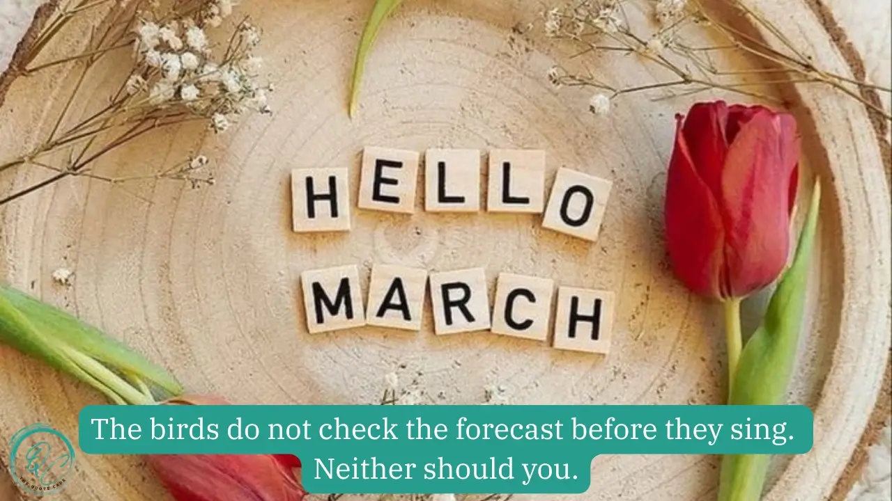 Inspirational Quotes for Social Media 