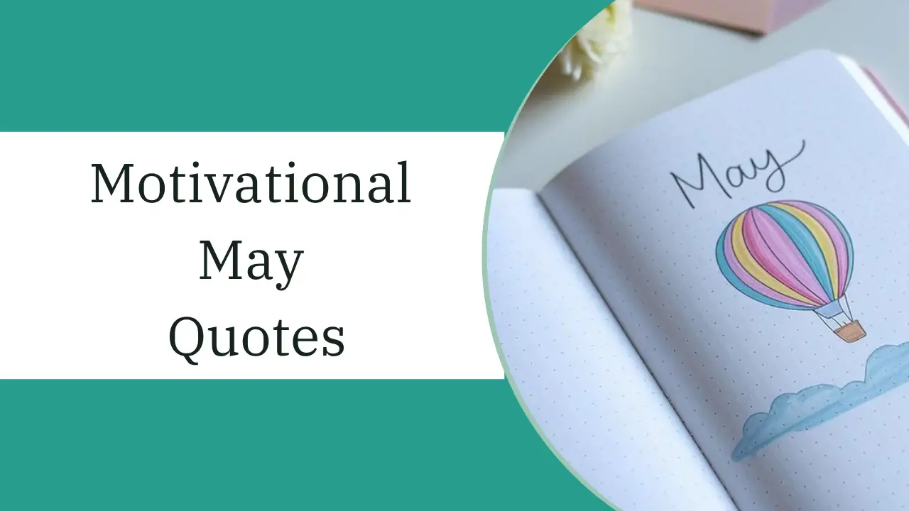 motivational may quotes