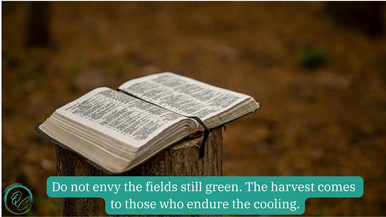 Bible Quotes For October