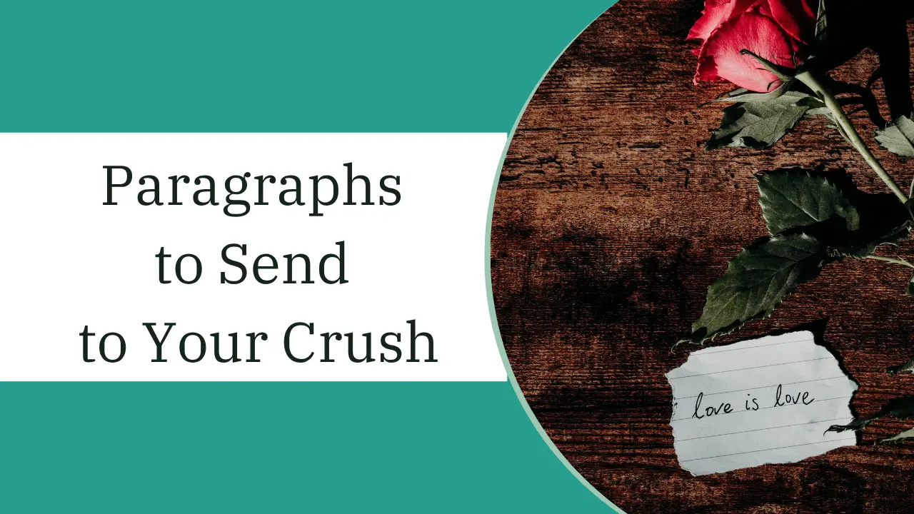 paragraphs to send to your crush 